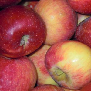 Pommes BELLE ROUGE - 1er choix - Gros calibre