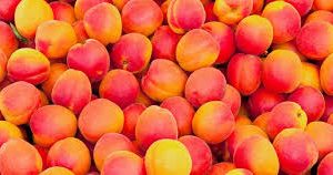 ABRICOT 1ER CHOIX GROS CALIBRE