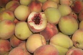 PECHE DE VIGNE 1ER CHOIX